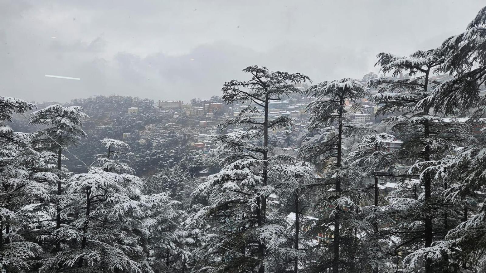 Mountain Zest- Simla Royale Near Mall Road Free Pickup From Railway Station Simla Εξωτερικό φωτογραφία